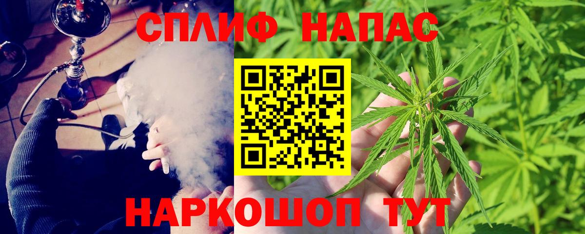 Конопля Ganja  МАРИХУАНА семена  Моздок  Конопля семена  Вход с VPN 